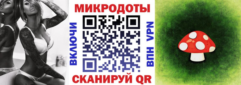 Галлюциногенные грибы прущие грибы  Ухта 