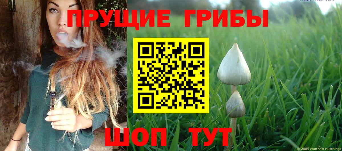 Псилоцибиновые грибы мицелий Ухта